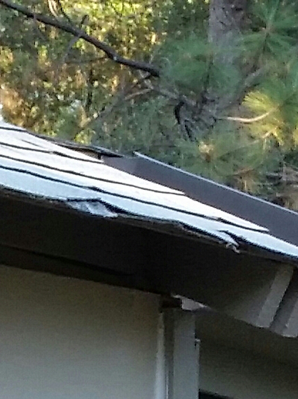 Damaged shingle on the edge of the roof